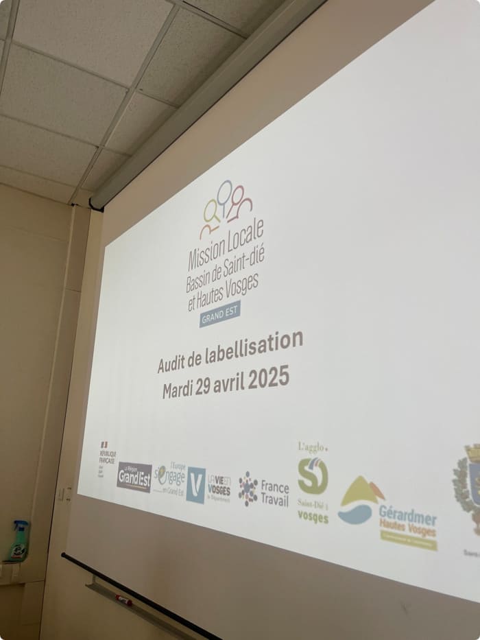 audit-de-labellisation-une-etape-importante-pour-la-mission-locale-du-bassin-de-saint-die-et-hautes-vosges