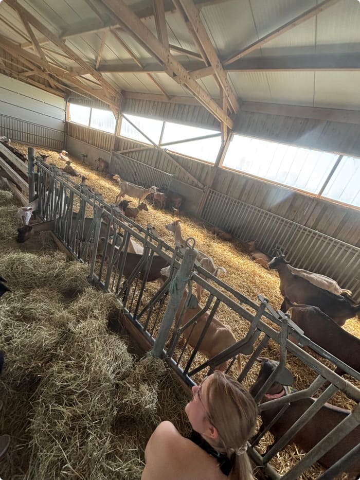 -retour-sur-la-journee-du-mardi-29-avril-2025-immersion-dans-les-metiers-de-l-agriculture-et-du-paysage2