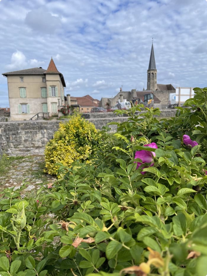 Plongée dans le patrimoine, 16 jeunes découvrent les métiers d'art au chateau de Chatel-sur-Moselle - Rempart
